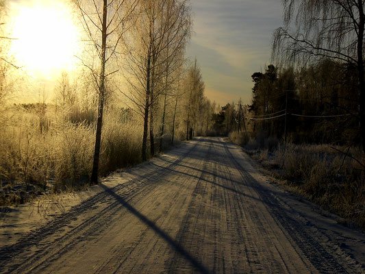 Auch der frühe Wintermorgen birgt viel Ruhe und die Chance auf einen schönen Sonnenaufgang in den Wäldern der Insel Päijätsalo nahe Ihres Domizils.