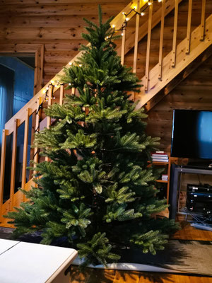 Decorate yourself with our equipment. Included imitated Premium-Nordmann fir, different lights, tree decorations, inside decorations ...