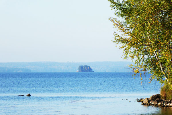 Shore at the bay in front of the house