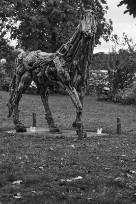 Schwemmholz Projekt Reusspark 2024. Foto Adriano Tuozzo