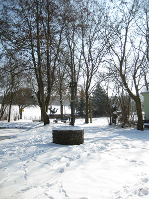 Winter 2010 am Teich  Bilder: Irene Goll