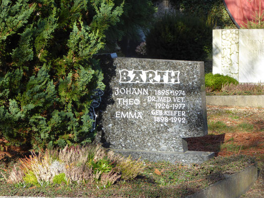 Alter Friedhof im Februar 2016