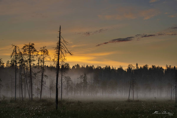 Thomas Deschamps Photography paysage Finlande landscape Finland pictures