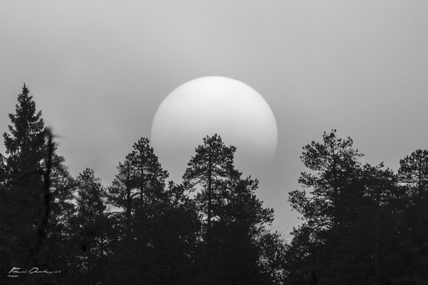 Thomas Deschamps Photography paysage Finlande landscape Finland pictures