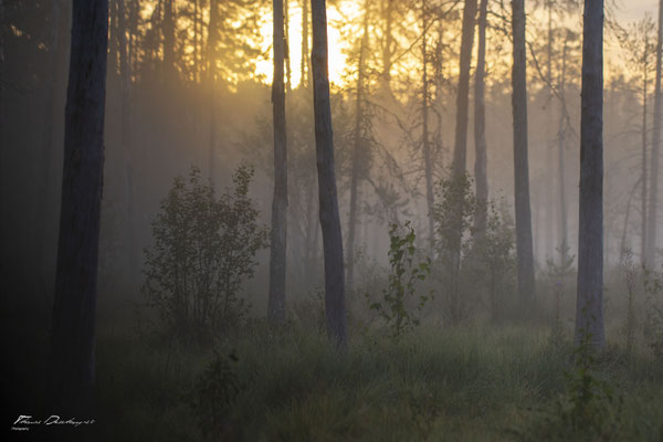 Thomas Deschamps Photography paysage Finlande landscape Finland pictures