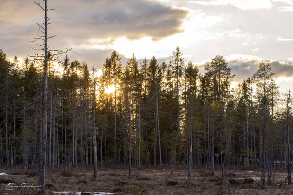 Thomas Deschamps Photography paysage Finlande landscape Finland pictures