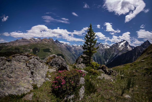 Photos des Alpes, paysages de montagnes. MAssif des Ecrins depuis pied moutet les 2 Alpes.