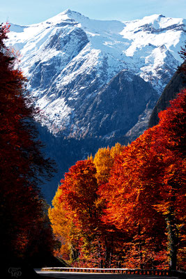 Photos dans les Alpes paysages et photos de montagnes : RD1091 lorsque l'automne s'installe en oisans, Le Freney d'Osians, octobre 2017.