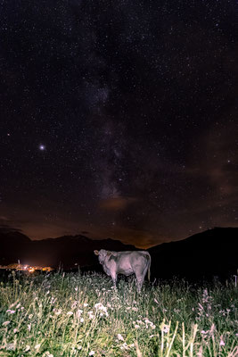 Initiation, stage photo de nuit, objets celestes et paysage nocturne en montagne : Estive de nuit en alpage, Huez, juillet 2020.