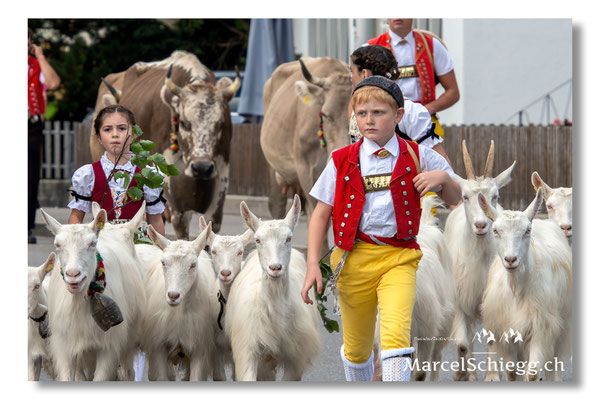 Marcel Schiegg Fotografie, Tradition, Brauchtum, Alpfahrt, Oeberefahre, Appenzell, Appenzellerland, Öberefahre