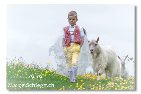 Marcel Schiegg Fotografie, Tradition, Brauchtum, Alpfahrt, Oeberefahre, Appenzell, Appenzellerland, Öberefahre, Alpstein