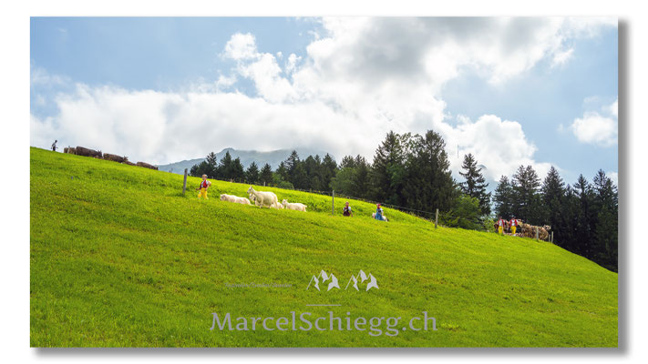 Marcel Schiegg Fotografie, Tradition, Brauchtum, Alpfahrt, Oeberefahre, Appenzell, Appenzellerland, Öberefahre, Alpstein