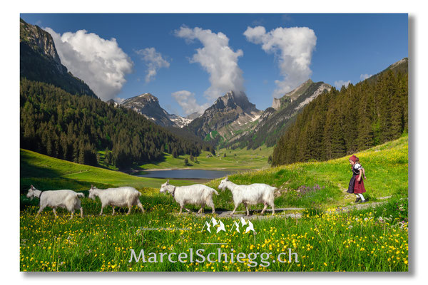 Marcel Schiegg Fotografie, Tradition, Brauchtum, Alpfahrt, Oeberefahre, Appenzell, Appenzellerland, Öberefahre, Alpstein, Sämtisersee