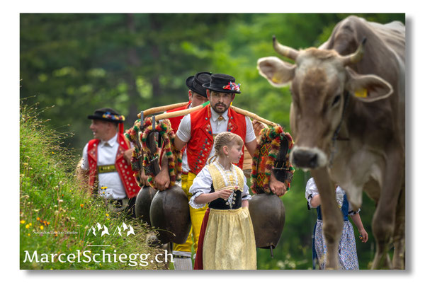 Marcel Schiegg Fotografie, Seealp, Alpstein, Tradition, Brauchtum, Alpfahrt, Oeberefahre, Appenzell, Senntumschellen