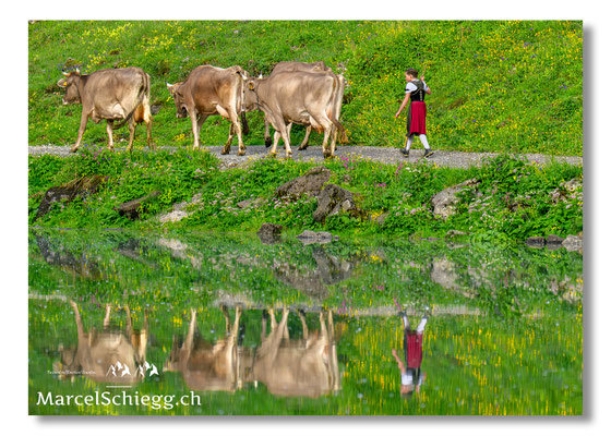 Marcel Schiegg Fotografie, Seealpsee, Alpstein, Tradition, Brauchtum, Alpfahrt, Oeberefahre, Appenzell