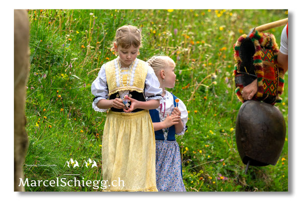 Marcel Schiegg Fotografie, Seealp, Alpstein, Tradition, Brauchtum, Alpfahrt, Oeberefahre, Appenzell