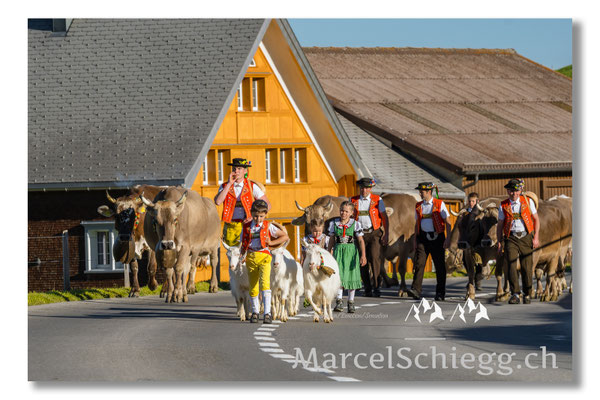Marcel Schiegg Fotografie, Tradition, Brauchtum, Alpfahrt, Oeberefahre, Appenzell, Appenzellerland