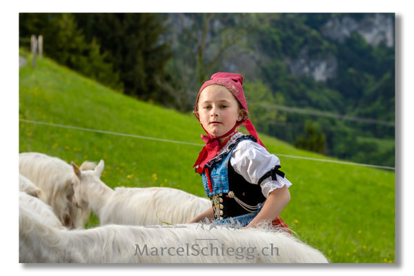 Marcel Schiegg Fotografie, Tradition, Brauchtum, Alpfahrt, Oeberefahre, Appenzell, Appenzellerland, Öberefahre, Alpstein