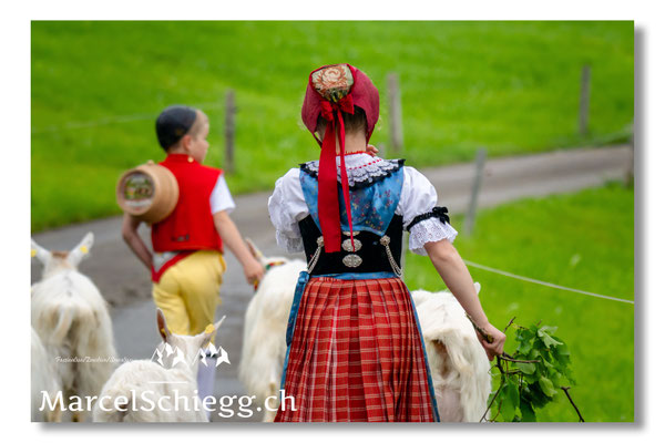 Marcel Schiegg Fotografie, Tradition, Brauchtum, Alpfahrt, Oeberefahre, Appenzell, Appenzellerland, Öberefahre