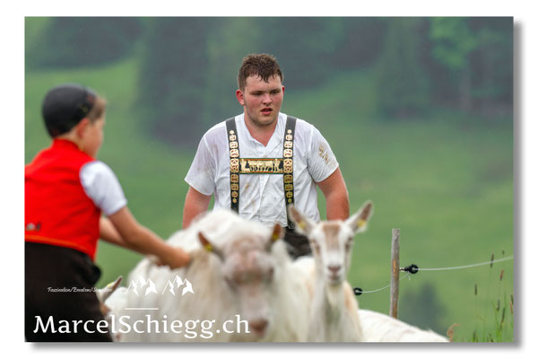 Marcel Schiegg Fotografie, Tradition, Brauchtum, Alpfahrt, Oeberefahre, Appenzell, Appenzellerland, Öberefahre