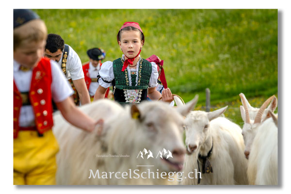 Marcel Schiegg Fotografie, Tradition, Brauchtum, Alpfahrt, Oeberefahre, Appenzell, Appenzellerland, Öberefahre, Alpstein