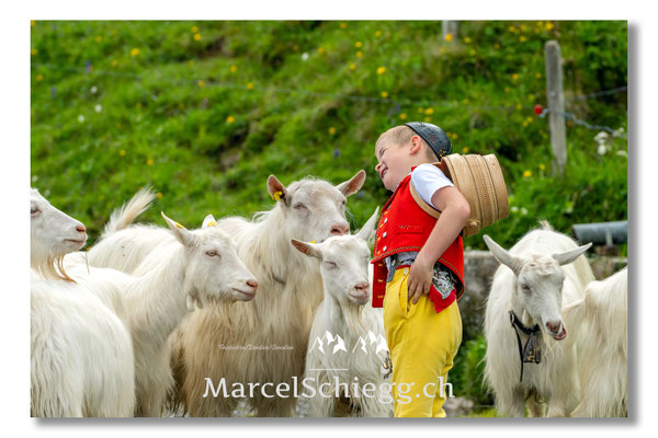 Marcel Schiegg Fotografie, Tradition, Brauchtum, Alpfahrt, Oeberefahre, Appenzell, Appenzellerland, Öberefahre, Alpstein