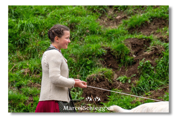 Marcel Schiegg Fotografie, Seealp, Alpstein, Tradition, Brauchtum, Alpfahrt, Oeberefahre, Appenzell