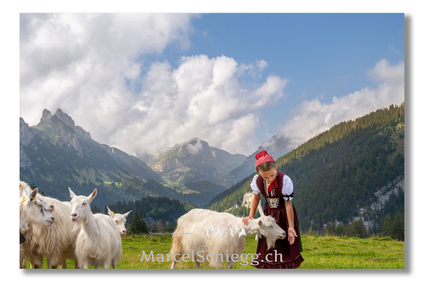 Marcel Schiegg Fotografie, Tradition, Brauchtum, Alpfahrt, Oeberefahre, Appenzell, Appenzellerland, Öberefahre, Alpstein