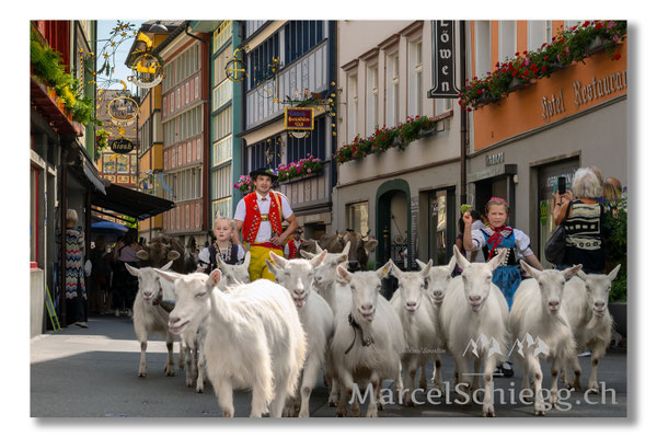 Marcel Schiegg Fotografie, Tradition, Brauchtum, Alpfahrt, Oeberefahre, Appenzell, Appenzellerland, Öberefahre, Hauptgasse