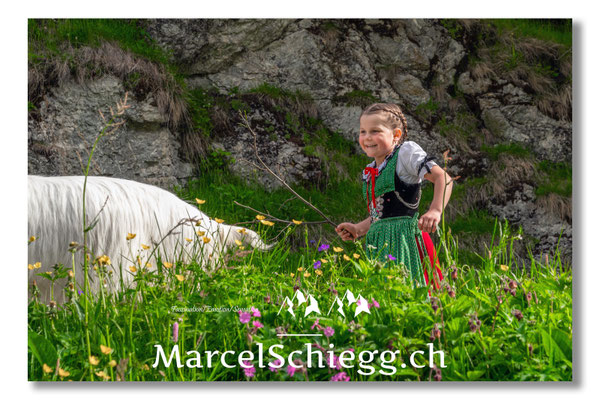 Marcel Schiegg Fotografie, Tradition, Brauchtum, Alpfahrt, Oeberefahre, Appenzell, Alpstein, Sämtis