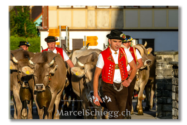 Marcel Schiegg Fotografie, Tradition, Brauchtum, Alpfahrt, Oeberefahre, Appenzell, Appenzellerland, Öberefahre