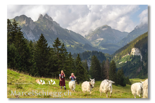 Marcel Schiegg Fotografie, Tradition, Brauchtum, Alpfahrt, Oeberefahre, Appenzell, Appenzellerland, Öberefahre, Alpstein