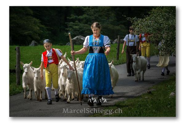 Öberefahre/Alpfahrt Art.-Nr. DSC-5666-September