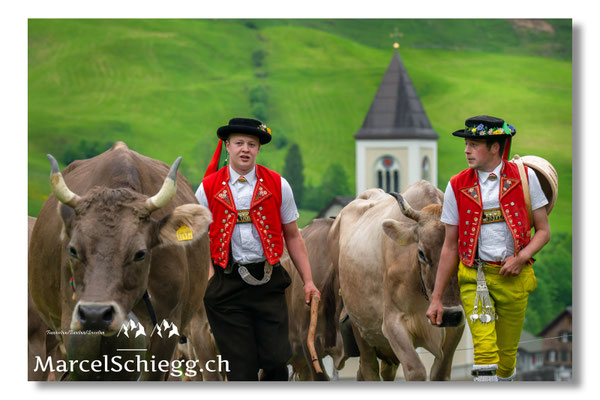Marcel Schiegg Fotografie, Tradition, Brauchtum, Alpfahrt, Oeberefahre, Appenzell, Appenzellerland, Öberefahre