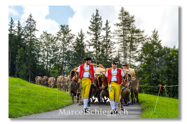Marcel Schiegg Fotografie, Tradition, Brauchtum, Alpfahrt, Oeberefahre, Appenzell, Appenzellerland, Öberefahre, Alpstein, Senntumschellen
