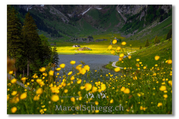 Marcel Schiegg Fotografie, Marcel Schiegg, Seealpsee, Alpstein, Appenzell, Appenzellerland