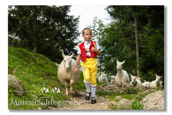 Marcel Schiegg Fotografie, Tradition, Brauchtum, Alpfahrt, Oeberefahre, Appenzell, Appenzellerland, Öberefahre, Alpstein