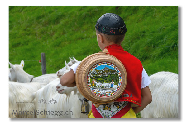 Öberefahre/Alpfahrt Art.-Nr. MZ7-2448