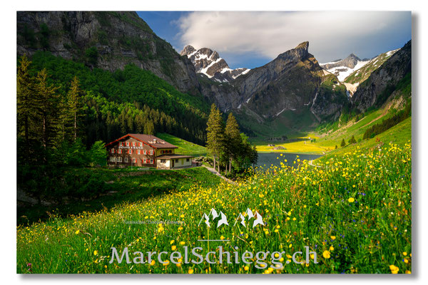 Seealpsee Art.-Nr. MZ7-2114