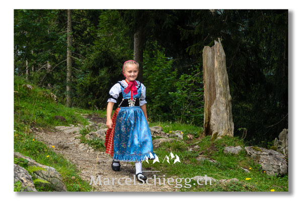 Marcel Schiegg Fotografie, Tradition, Brauchtum, Alpfahrt, Oeberefahre, Appenzell, Appenzellerland, Öberefahre, Alpstein