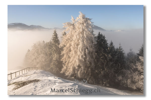 Appenzellerland/Winterimpressionen Art.-Nr. MZ7-1495