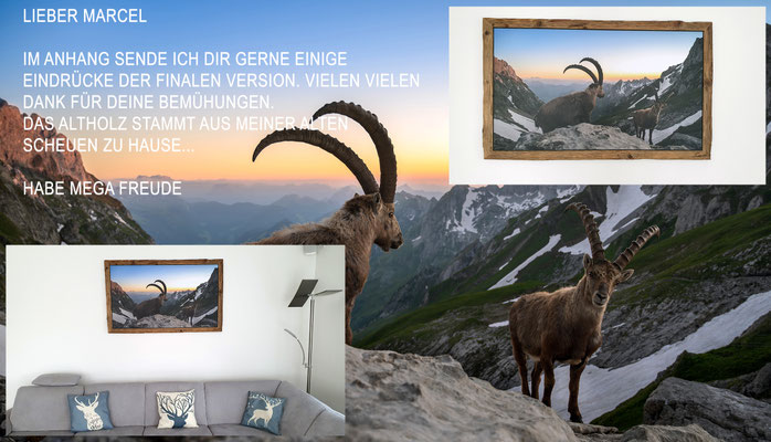 Wanddeko Steinbock, Alpstein