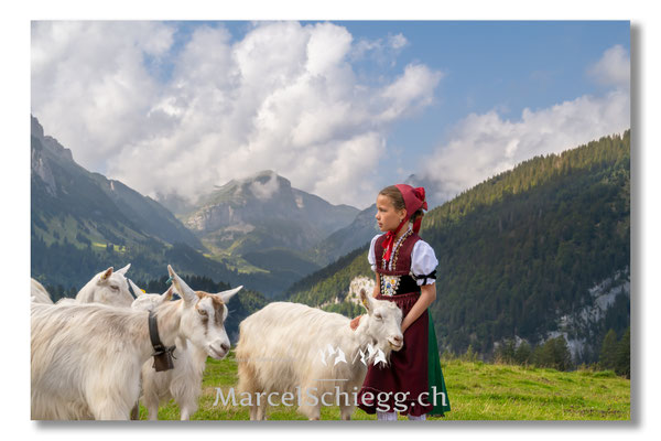 Marcel Schiegg Fotografie, Tradition, Brauchtum, Alpfahrt, Oeberefahre, Appenzell, Appenzellerland, Öberefahre, Alpstein