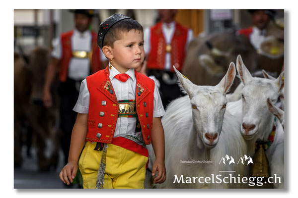 Öberefahre/Alpfahrt Art.-Nr. MS5-4352/16