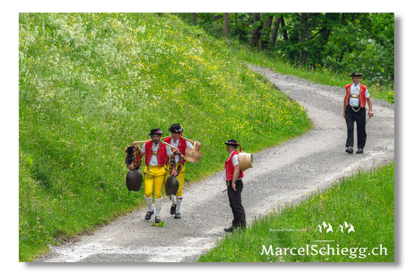 Marcel Schiegg Fotografie, Alpstein, Seealp, Tradition, Brauchtum, Alpfahrt, Oeberefahre, Appenzell, Senntumschellen