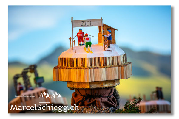 Silversterchlausen Art.-Nr. DSC-2532