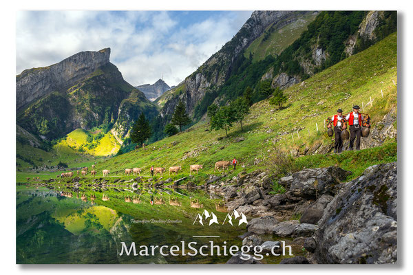 Marcel Schiegg Fotografie, Marcel Schiegg, Seealpsee, Alpstein, Appenzell, Appenzellerland