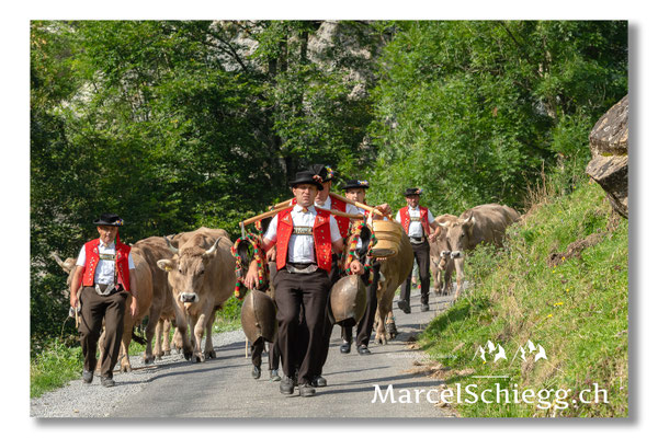 Marcel Schiegg Fotografie, Alpstein, Tradition, Brauchtum, Alpfahrt, Oeberefahre, Appenzell, Fahreimer