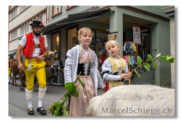 Marcel Schiegg Fotografie, Tradition, Brauchtum, Alpfahrt, Oeberefahre, Appenzell, Hauptgasse