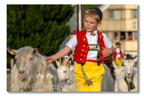 Marcel Schiegg Fotografie, Tradition, Brauchtum, Alpfahrt, Oeberefahre, Appenzell, Appenzellerland, Öberefahre